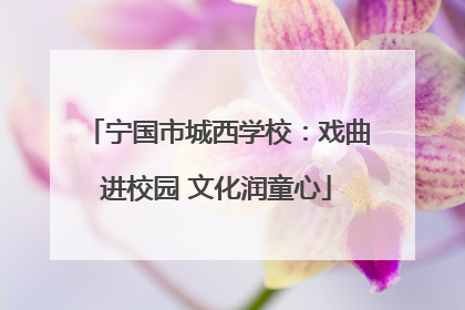 宁国市城西学校：戏曲进校园 文化润童心