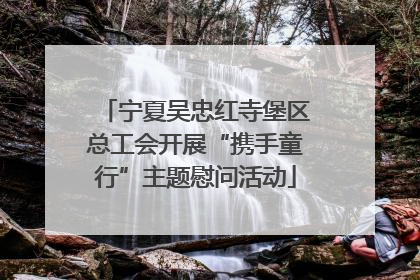 宁夏吴忠红寺堡区总工会开展“携手童行”主题慰问活动