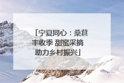 宁夏同心：桑葚丰收季 甜蜜采摘助力乡村振兴