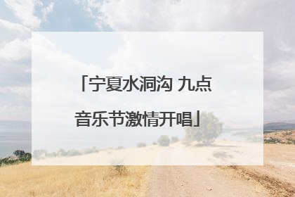 宁夏水洞沟 九点音乐节激情开唱