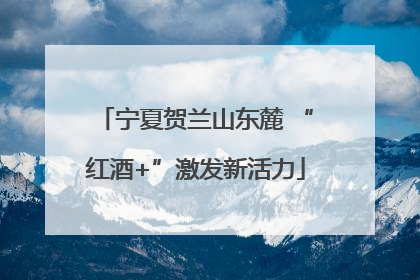 宁夏贺兰山东麓 “红酒+”激发新活力