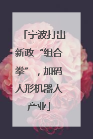 宁波打出新政“组合拳”，加码人形机器人产业