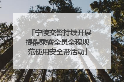 宁陵交警持续开展提醒乘客全员全程规范使用安全带活动