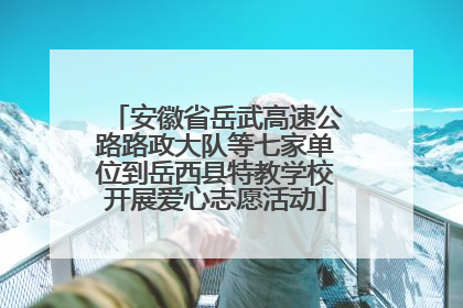 安徽省岳武高速公路路政大队等七家单位到岳西县特教学校开展爱心志愿活动