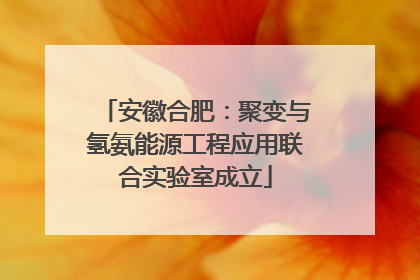 安徽合肥：聚变与氢氨能源工程应用联合实验室成立