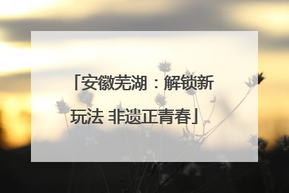安徽芜湖：解锁新玩法 非遗正青春