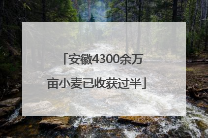 安徽4300余万亩小麦已收获过半
