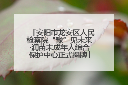 安阳市龙安区人民检察院“豫”见未来·润苗未成年人综合保护中心正式揭牌