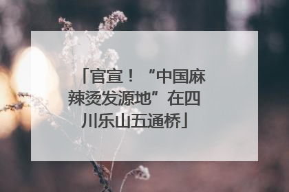 官宣！“中国麻辣烫发源地”在四川乐山五通桥