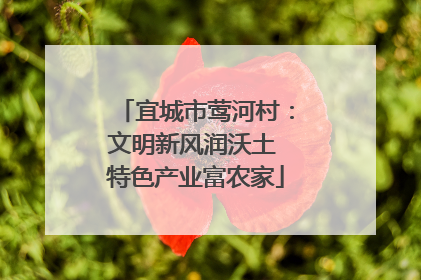 宜城市莺河村：文明新风润沃土 特色产业富农家