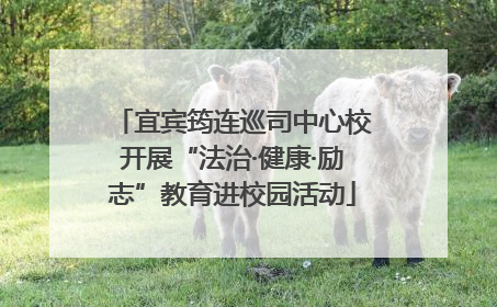宜宾筠连巡司中心校开展“法治·健康·励志”教育进校园活动