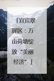 宜宾翠屏区：万亩荷塘绽放“美丽经济”