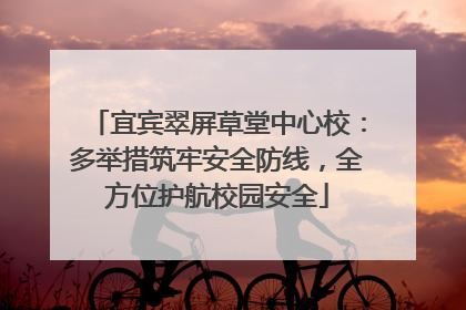 宜宾翠屏草堂中心校：多举措筑牢安全防线，全方位护航校园安全