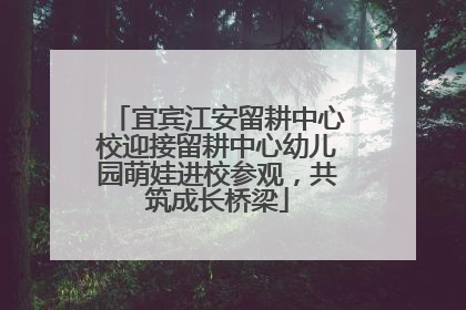 宜宾江安留耕中心校迎接留耕中心幼儿园萌娃进校参观，共筑成长桥梁