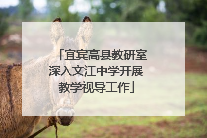 宜宾高县教研室深入文江中学开展教学视导工作
