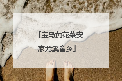 宝岛黄花菜安家尤溪畲乡