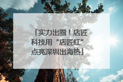 实力出圈！店匠科技用“店匠红”点亮深圳出海热