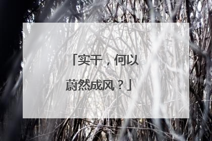 实干，何以蔚然成风？