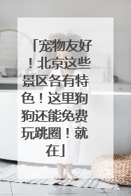 宠物友好！北京这些景区各有特色！这里狗狗还能免费玩跳圈！就在