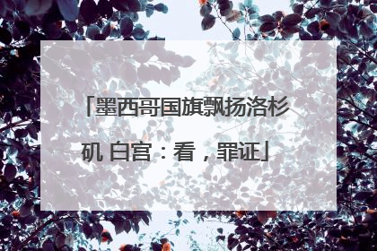 墨西哥国旗飘扬洛杉矶 白宫：看，罪证