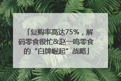 复购率高达75%，解码零食很忙&赵一鸣零食的“白牌崛起”战略