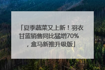 夏季蔬菜又上新！羽衣甘蓝销售同比猛增70%，盒马新推升级版