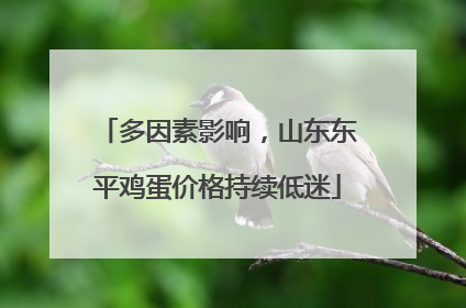 多因素影响，山东东平鸡蛋价格持续低迷