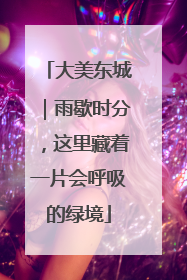 大美东城｜雨歇时分，这里藏着一片会呼吸的绿境