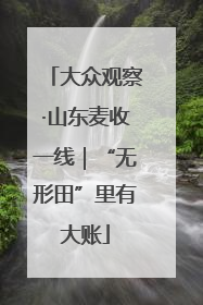 大众观察·山东麦收一线｜“无形田”里有大账
