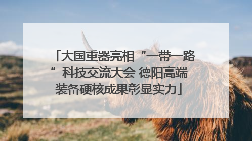 大国重器亮相“一带一路”科技交流大会 德阳高端装备硬核成果彰显实力
