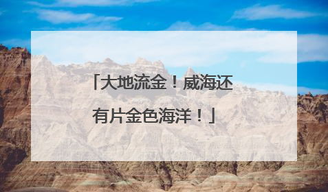 大地流金！威海还有片金色海洋！