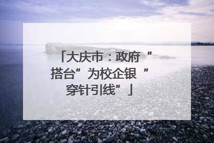 大庆市：政府“搭台”为校企银“穿针引线”