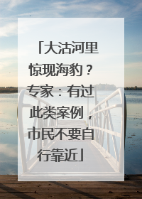 大沽河里惊现海豹？专家：有过此类案例，市民不要自行靠近