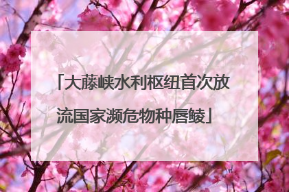 大藤峡水利枢纽首次放流国家濒危物种唇鲮