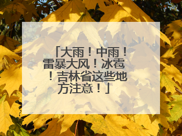 大雨！中雨！雷暴大风！冰雹！吉林省这些地方注意！