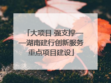 大项目 强支撑——湖南建行创新服务重点项目建设