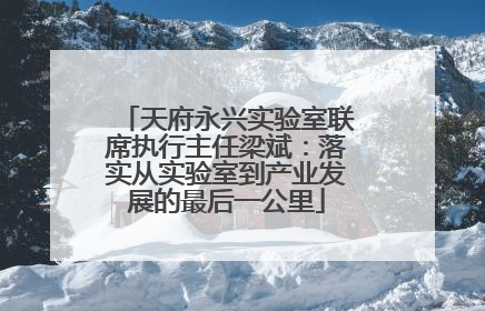 天府永兴实验室联席执行主任梁斌：落实从实验室到产业发展的最后一公里