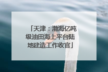 天津：渤海亿吨级油田海上平台陆地建造工作收官