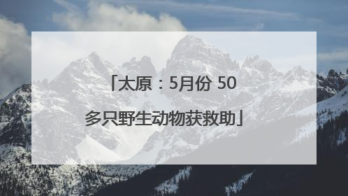 太原：5月份 50多只野生动物获救助