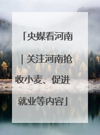 央媒看河南｜关注河南抢收小麦、促进就业等内容