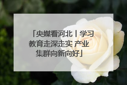 央媒看河北丨学习教育走深走实 产业集群向新向好
