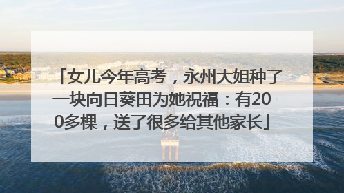 女儿今年高考，永州大姐种了一块向日葵田为她祝福：有200多棵，送了很多给其他家长