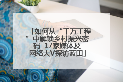 如何从“千万工程”中解锁乡村振兴密码  17家媒体及网络大V探访蓝田