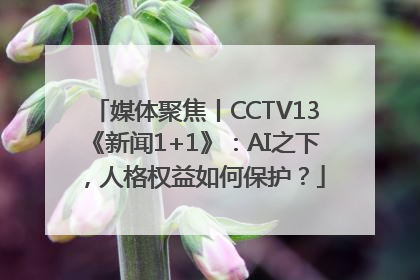 媒体聚焦丨CCTV13《新闻1+1》：AI之下，人格权益如何保护？