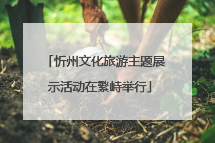 忻州文化旅游主题展示活动在繁峙举行