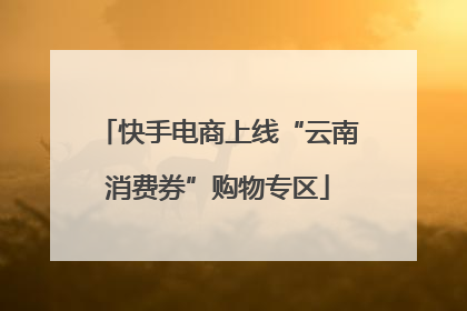 快手电商上线“云南消费券”购物专区