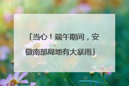 当心！端午期间，安徽南部局地有大暴雨