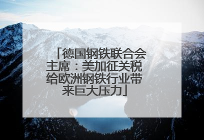 德国钢铁联合会主席：美加征关税给欧洲钢铁行业带来巨大压力
