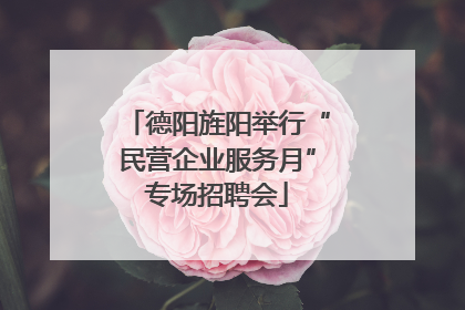 德阳旌阳举行“民营企业服务月”专场招聘会
