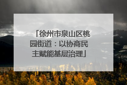 徐州市泉山区桃园街道：以协商民主赋能基层治理